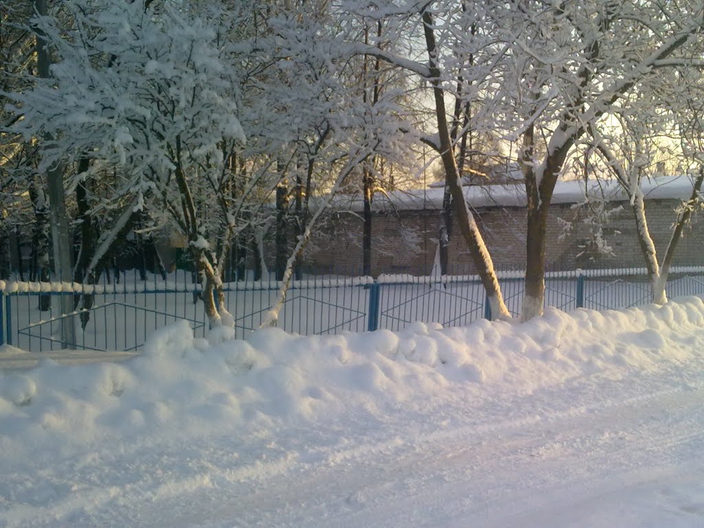 Зима в Параньге