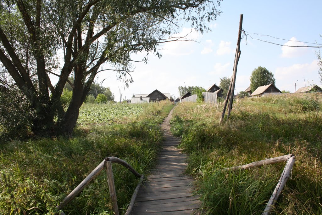 Параньга