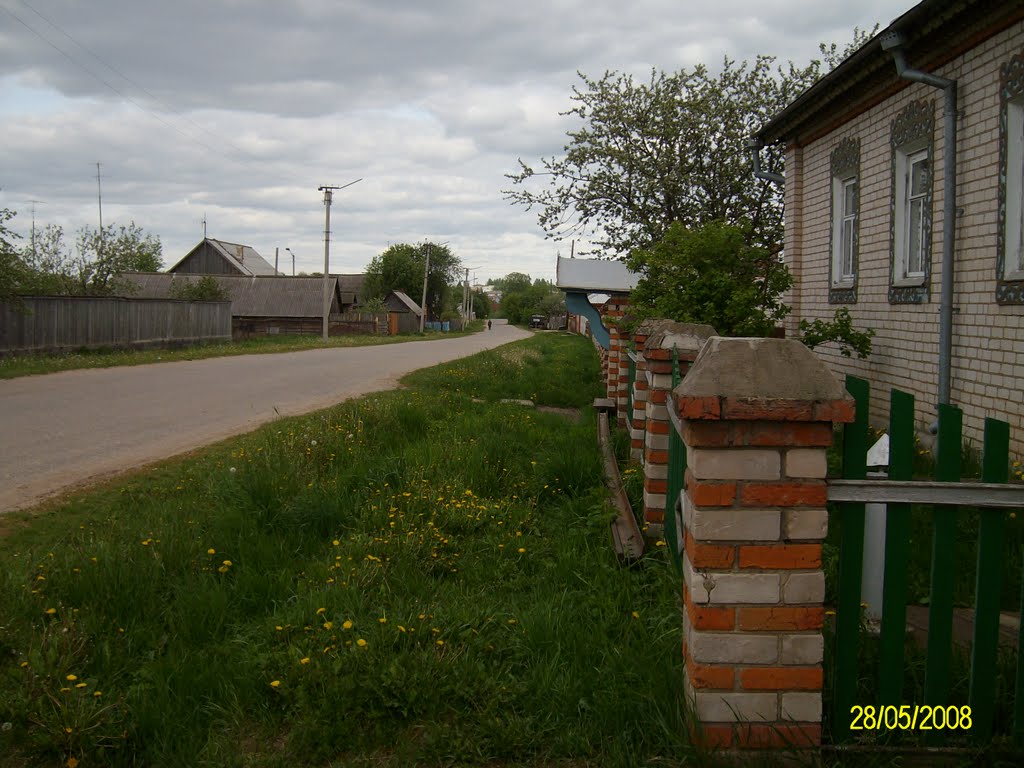 pervomaysky str.