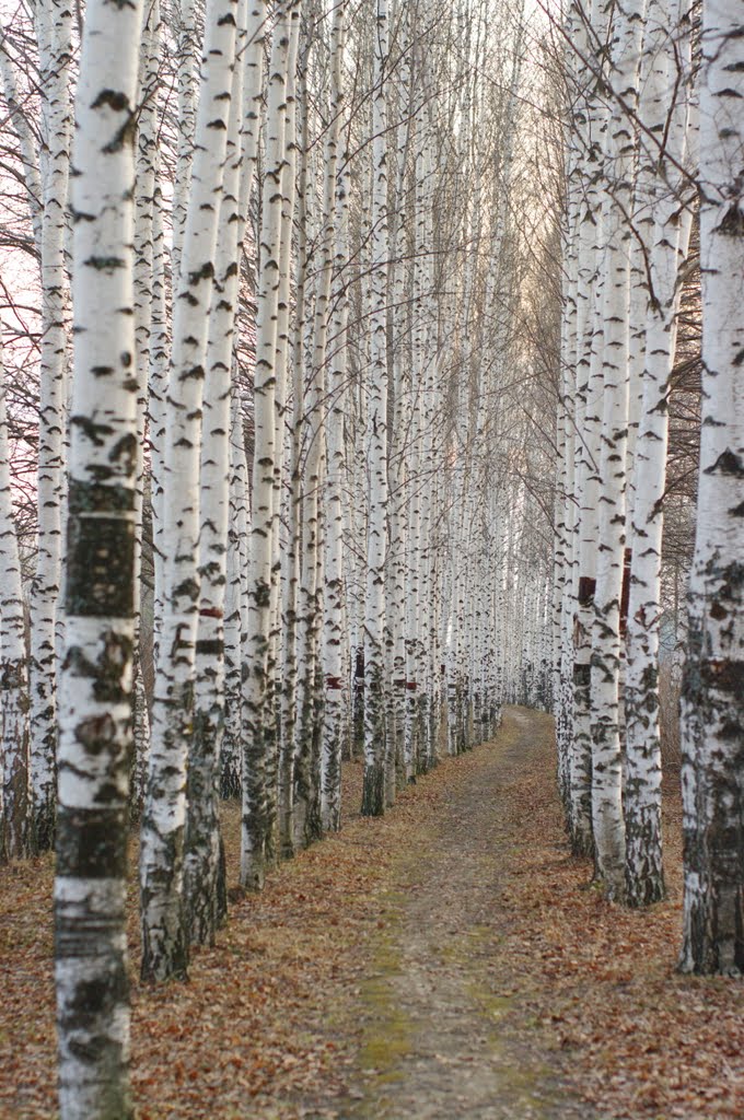 Аллея