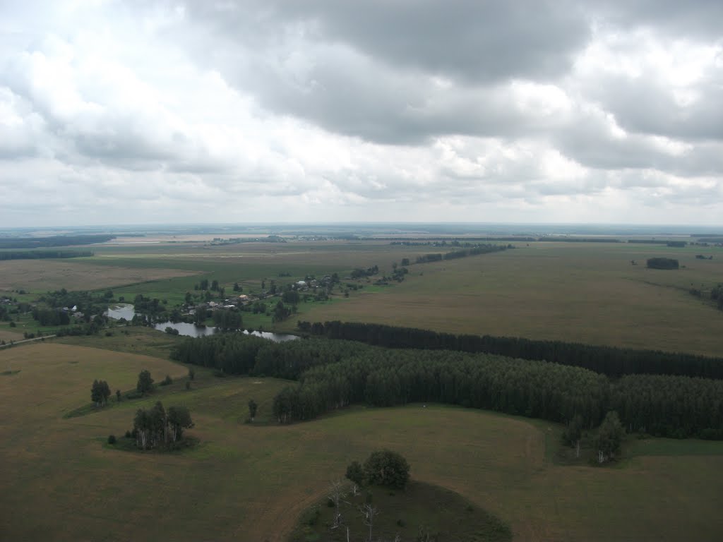 Кюрсола
