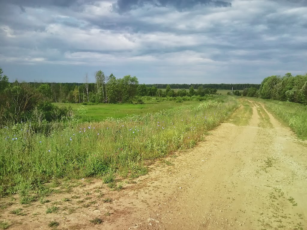 На окраине Чкарино