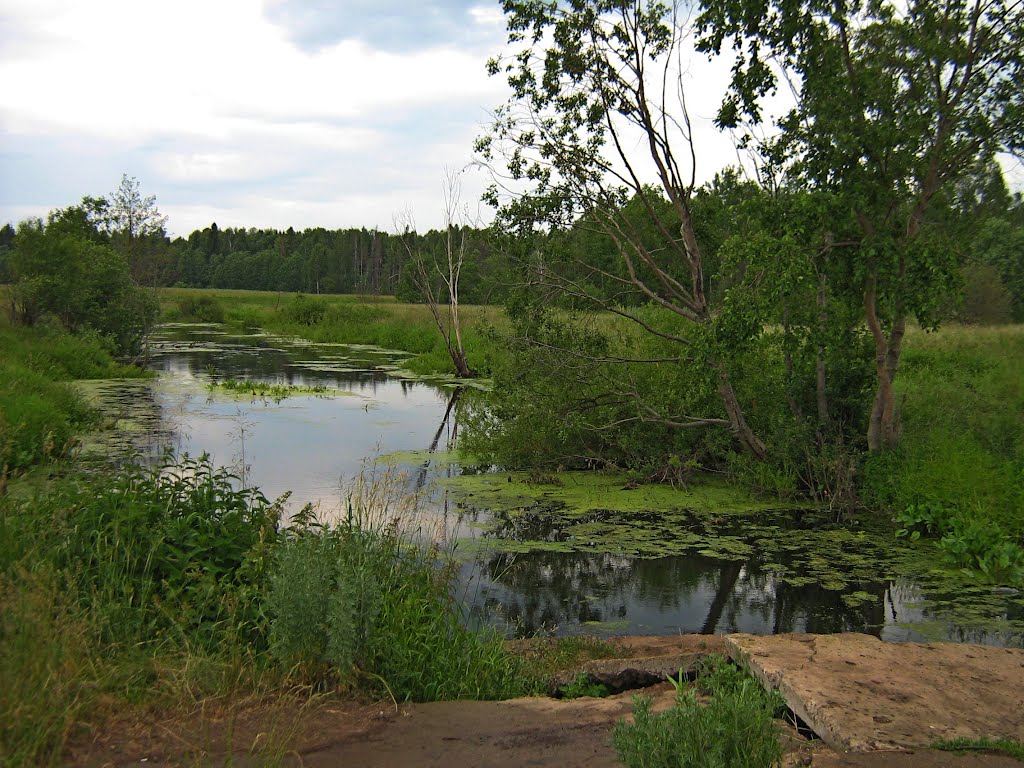 Чкарино, р.Шуля, запруда.