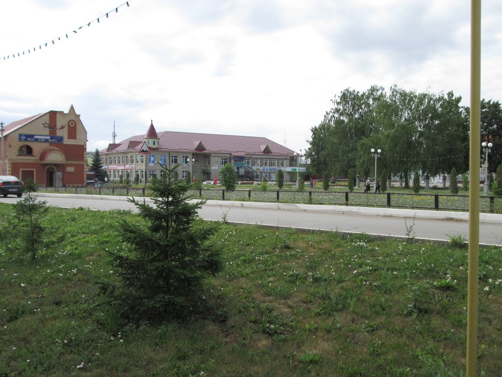 Центральная улица