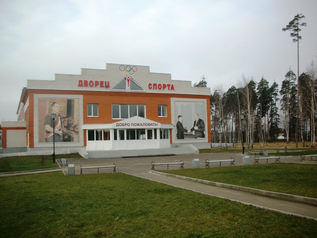 Sporta domego