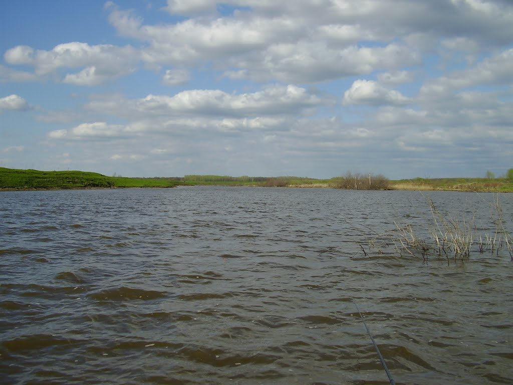 Рукав