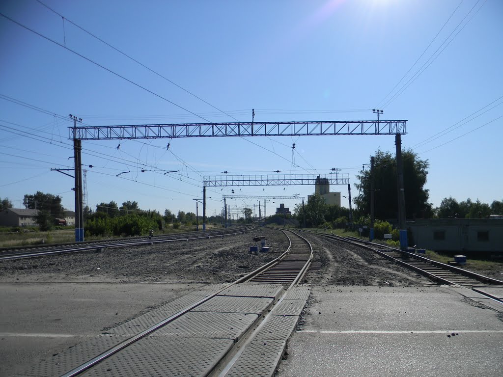 ковылкино московское направление