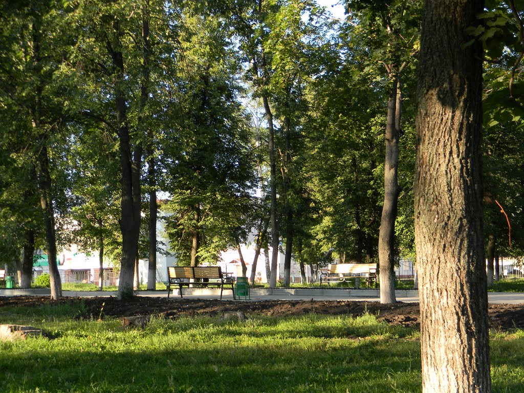 ковылкино парк