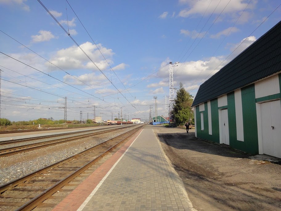 Дорога из Москвы