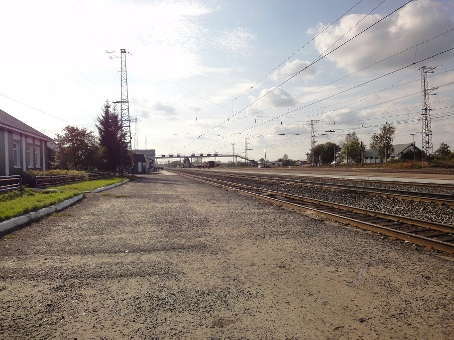Дорога в Москву