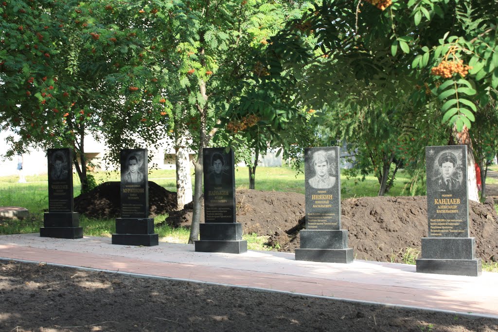 Погибшие в Афганистане