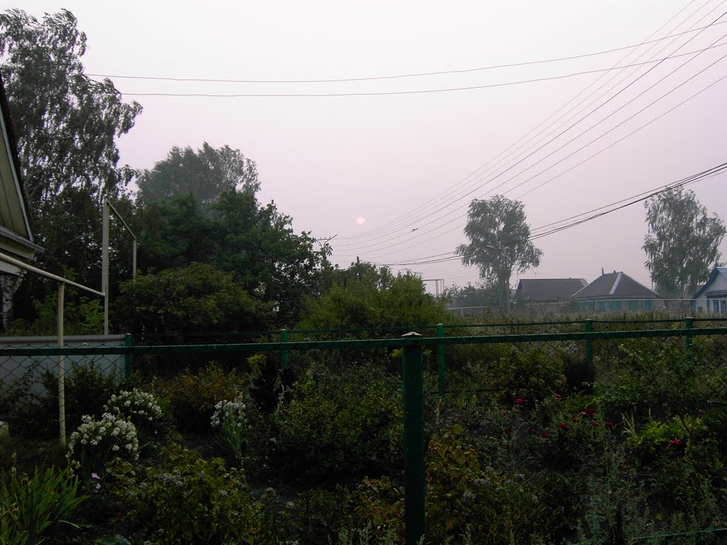Смог. 12.08.2010 г.