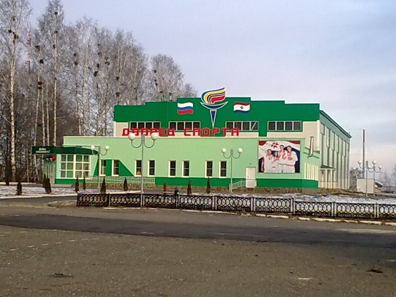 с. Лямбирь, Дворец Спорта