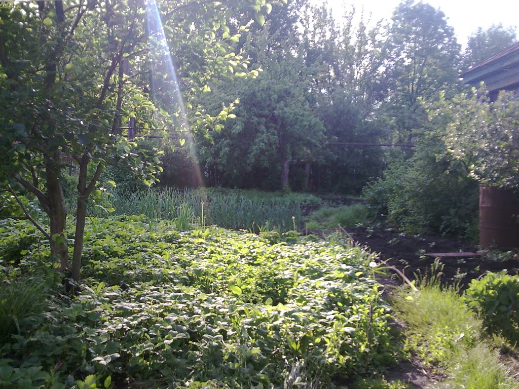 2009