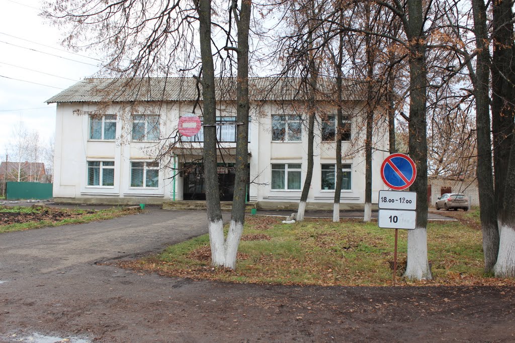 2011.11.04 Ромоданово Муз.школа+детская библиотека