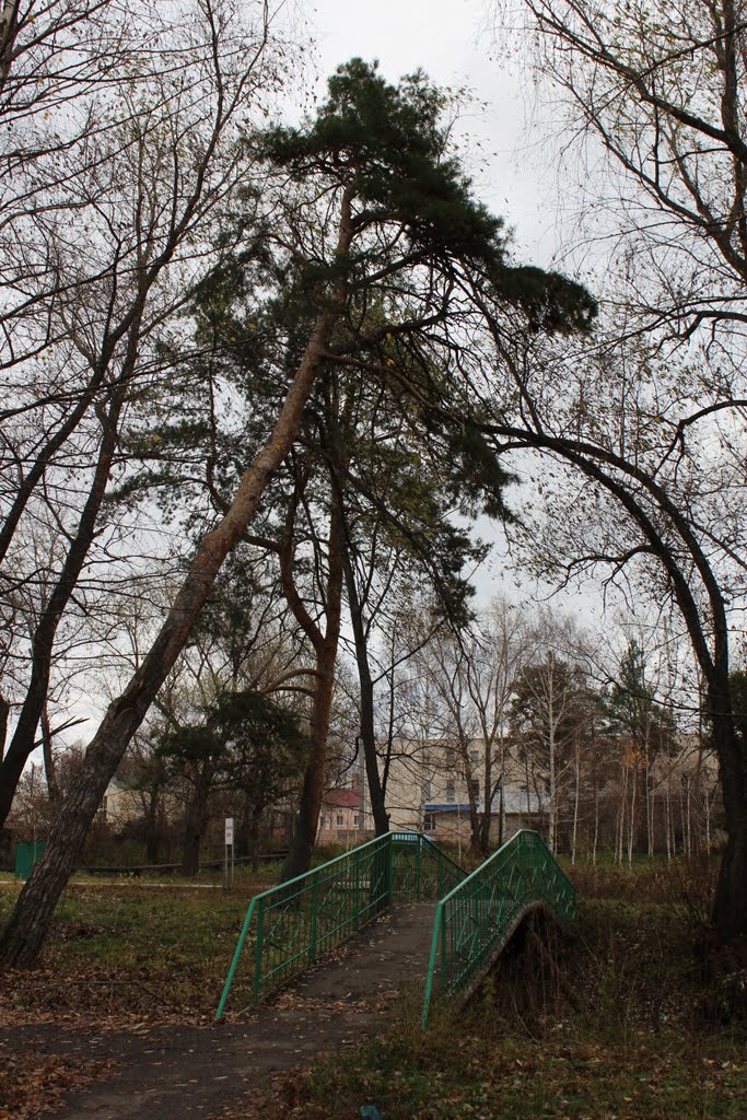 2011.11.04 Ромоданово