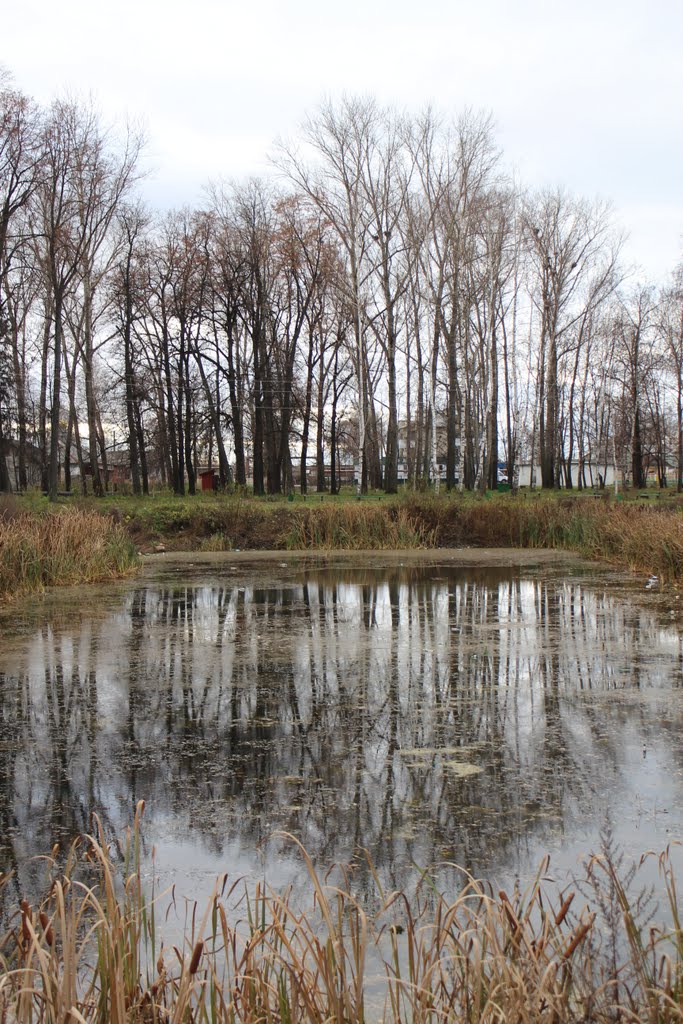 2011.11.04 Ромоданово
