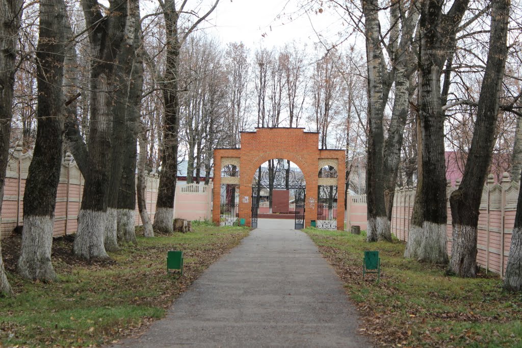 2011.11.04 Ромоданово
