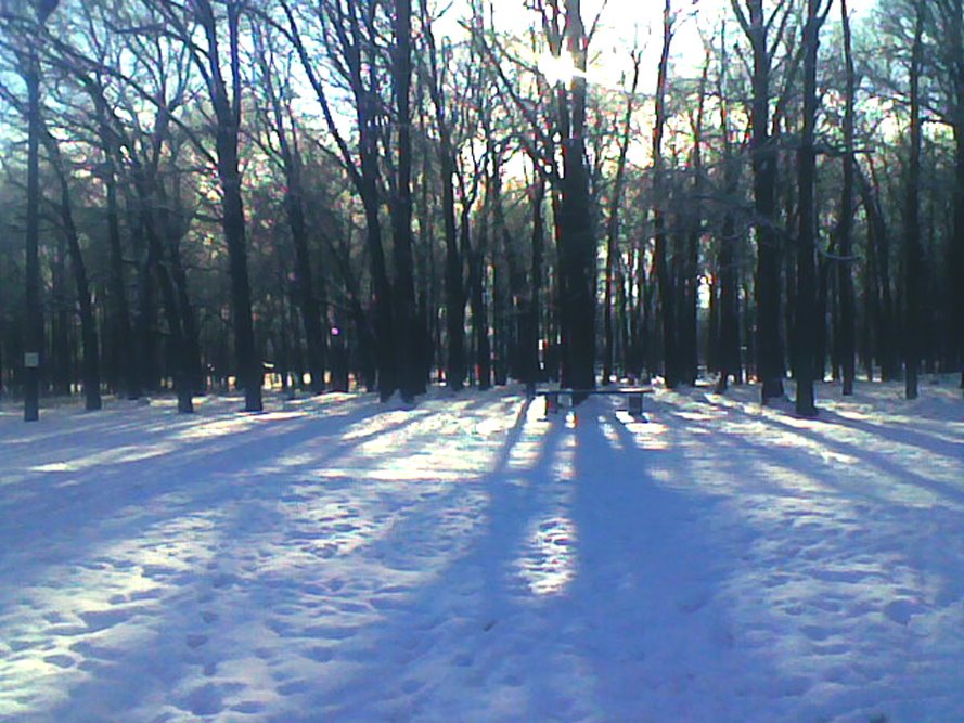 Парк Зимой