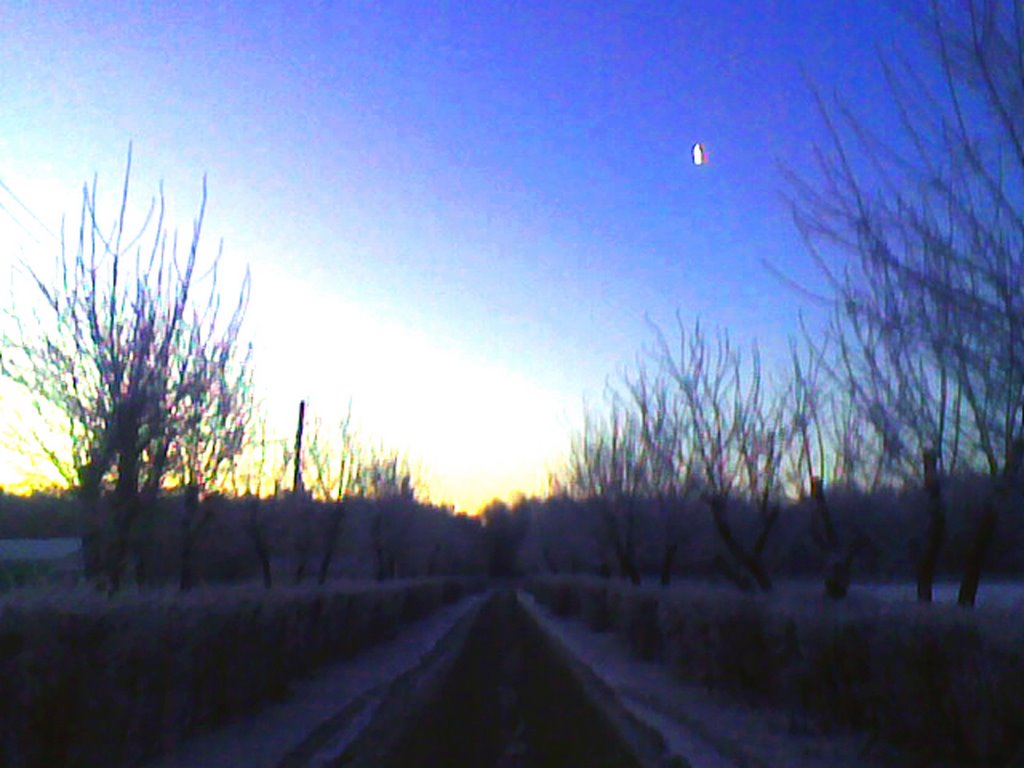 Локомотив