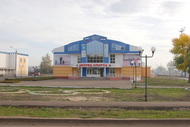 Дворец спорта (химмаш)