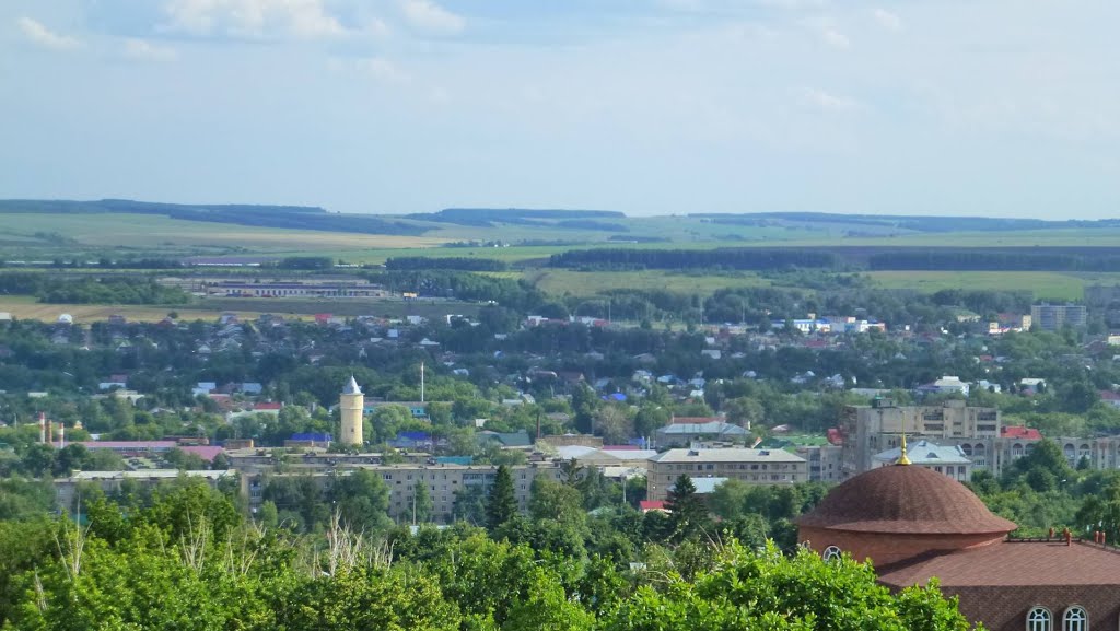 Рузаевка с колеса обозрения
