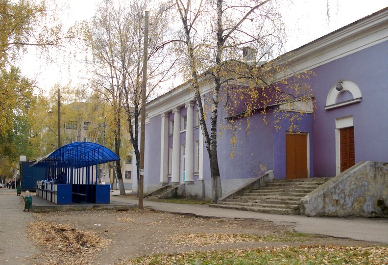 Вид на Детский центр Театра и Кино "Крошка" (бывший кинотеатр "Мордовия") с правой стороны