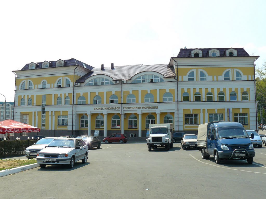 Саранск#35