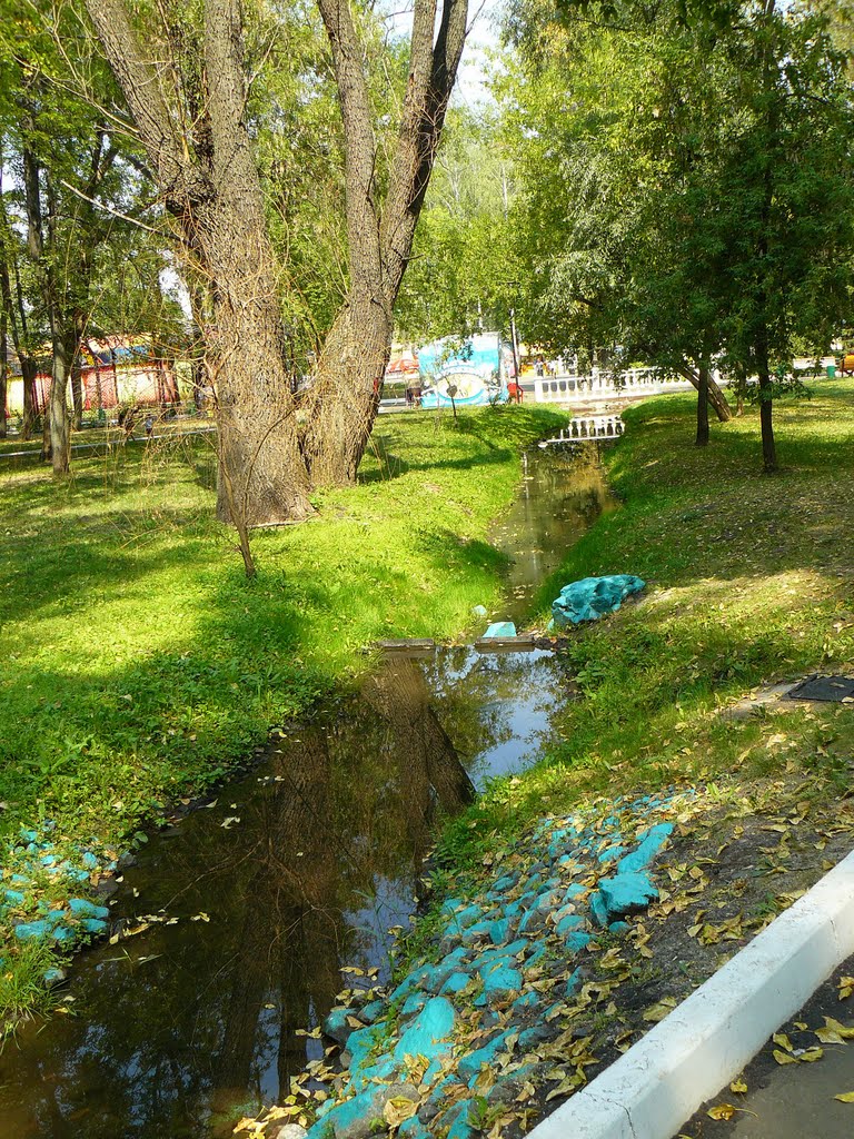 Саранск#39
