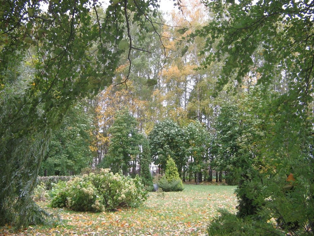 Участок сада