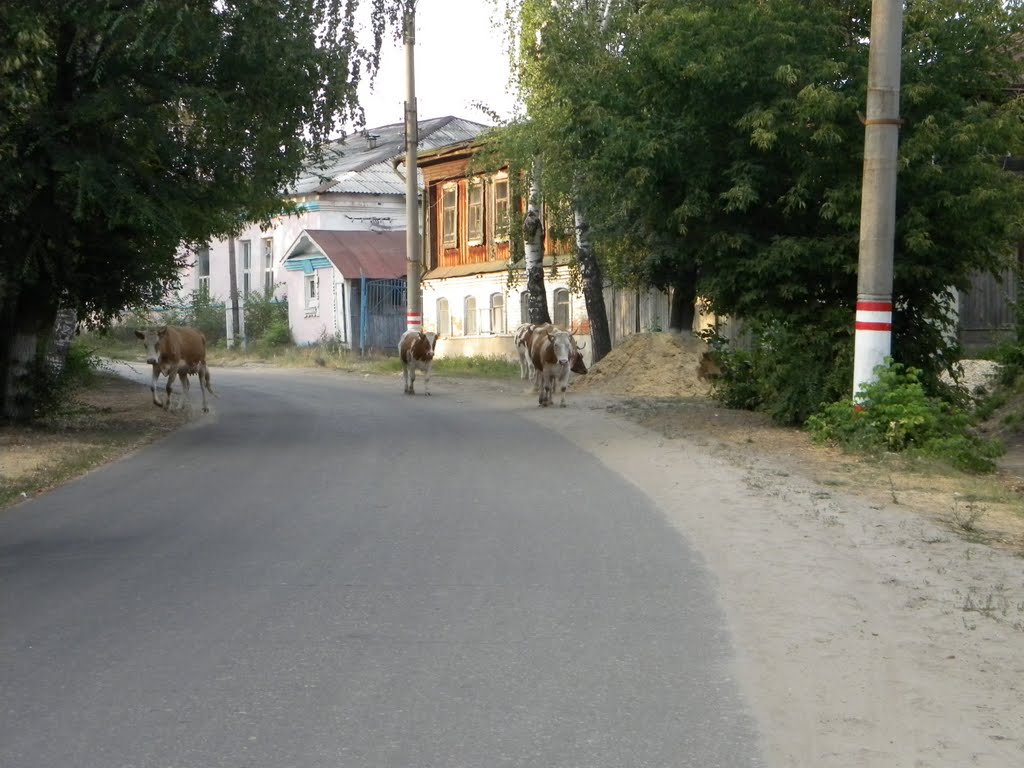Темников