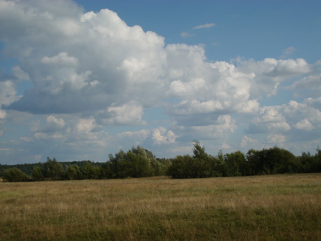 поле