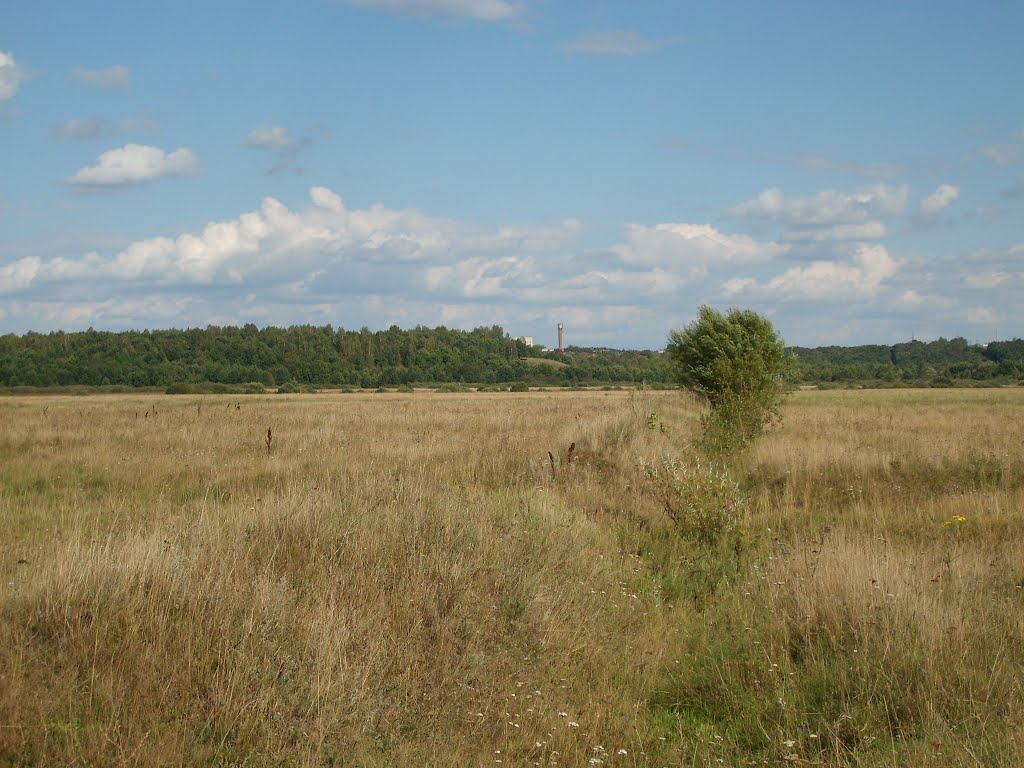 башня