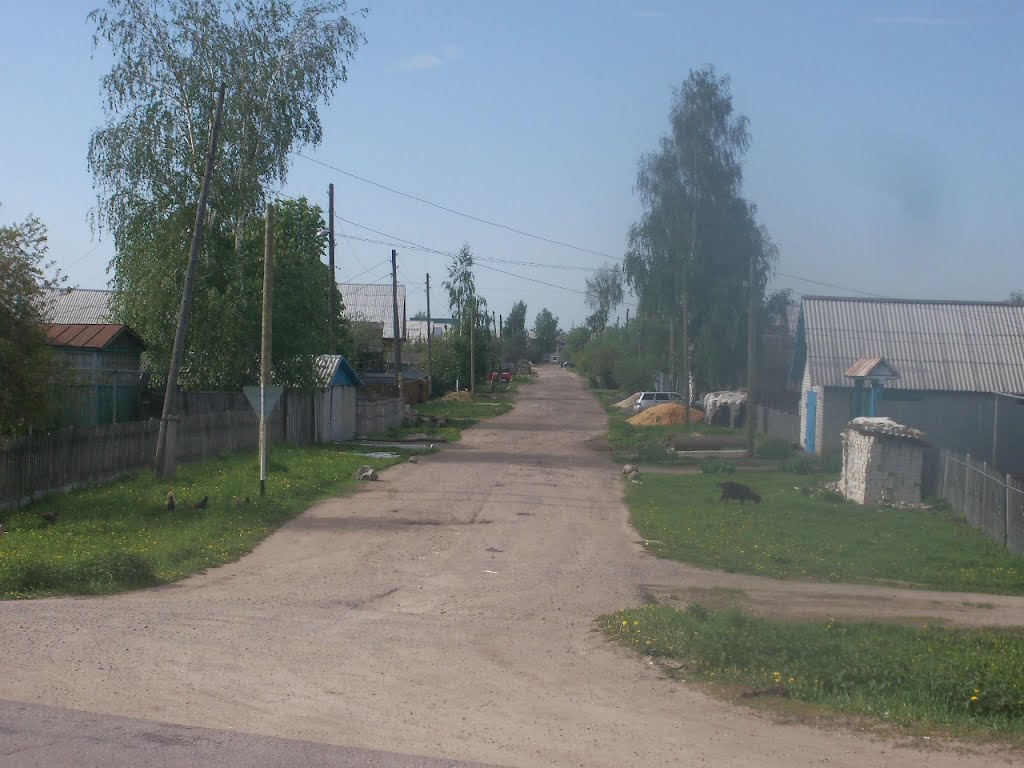 Чайковская ул.