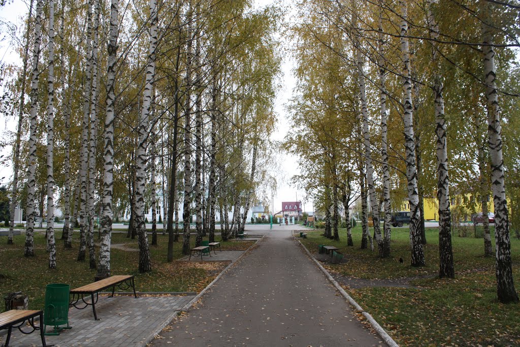Центр Торбеева