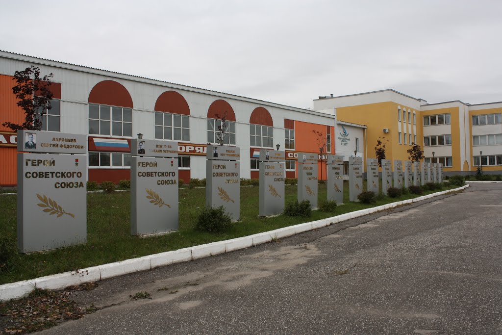 Стеллы в честь героев войны