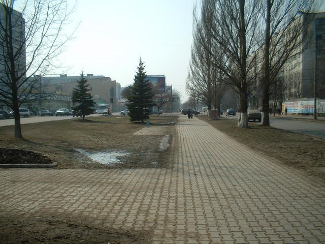 Korolev avenue