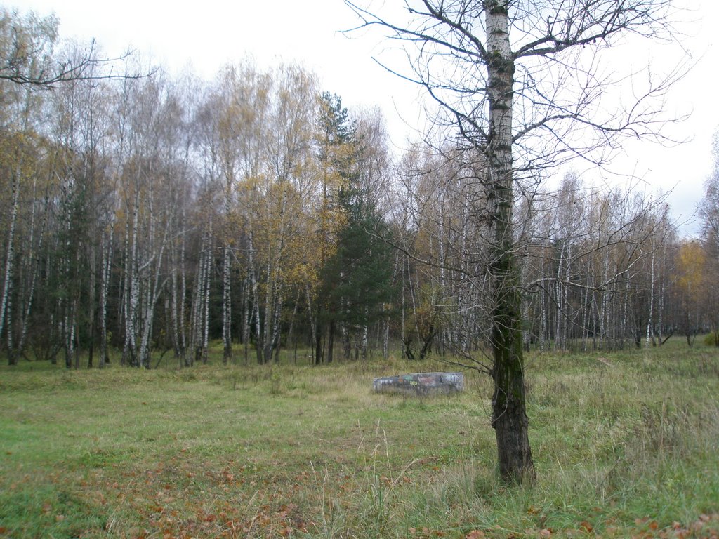 Королев