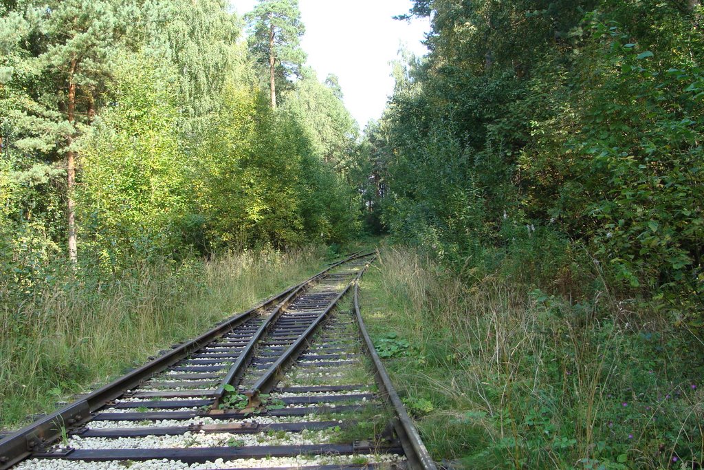 Королев