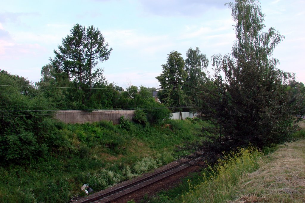 The railway near the station Bolshevo