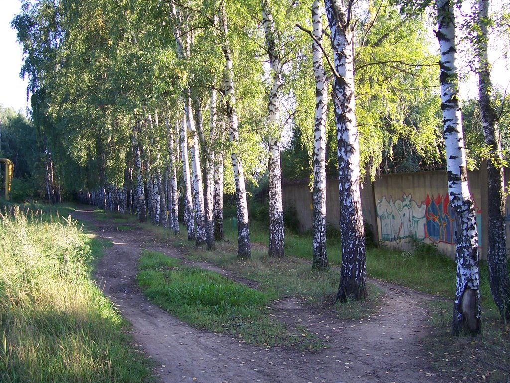 Elks Island 3