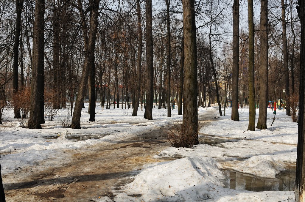 Парк усадьбы Костино