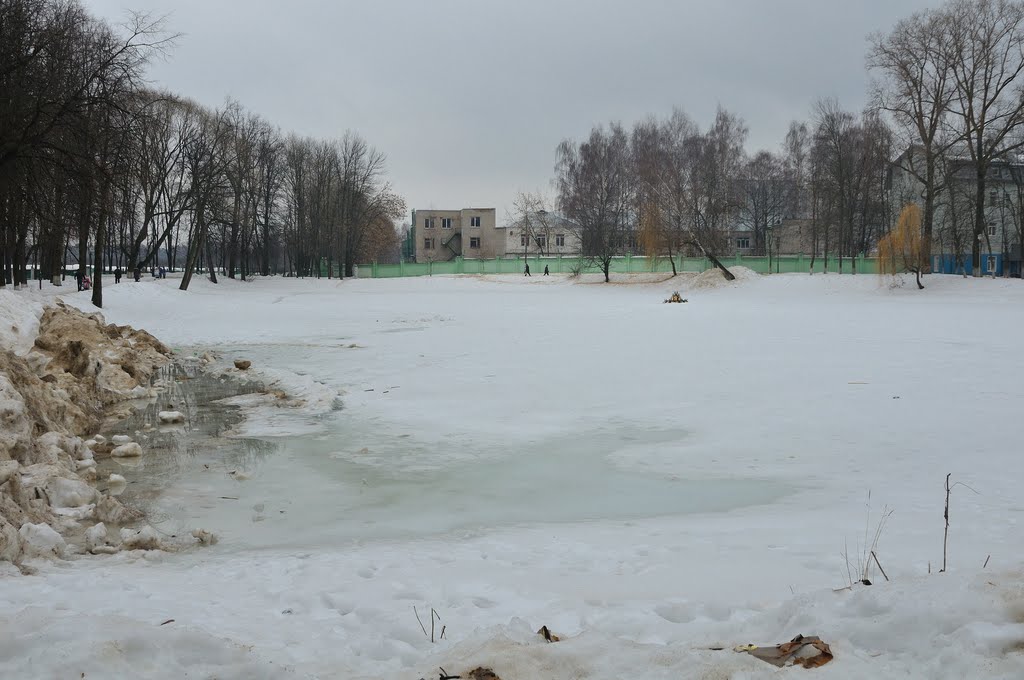 Пруд в усадьбе Костино