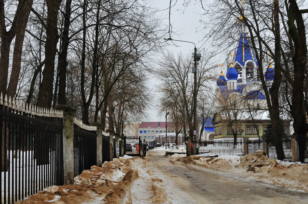 Аллея в парке усадьбы Костино вид на церковь Рождества Пресвятой Богородицы