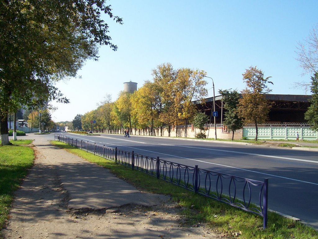 Kalinigradskaya st., Korolev