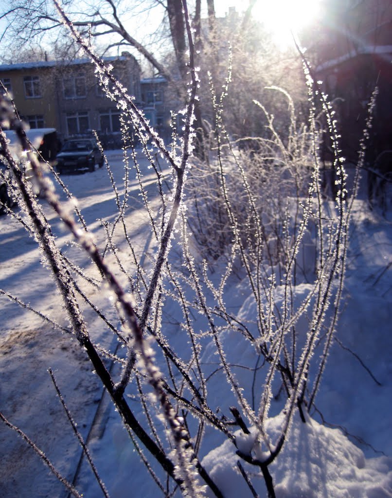 Ice lace - Ледяные кружева