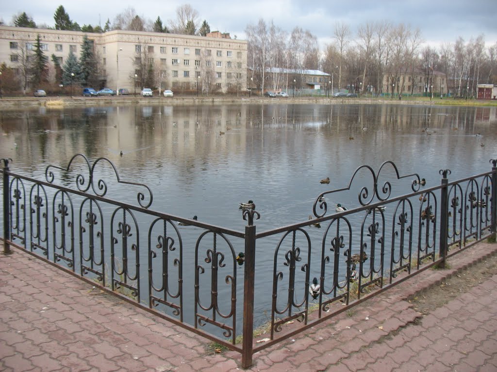 Пруд в Юбилейном.