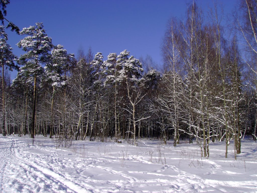 Мороз и солнце