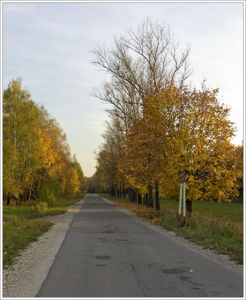 Akulovsky channel area / Korolev, Russia