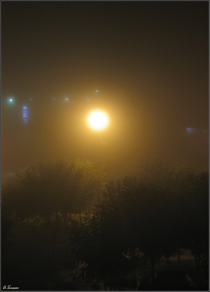 Foggy night